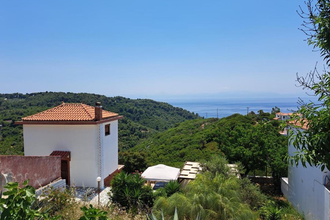 Photo of Others in Alonnisos Old Town