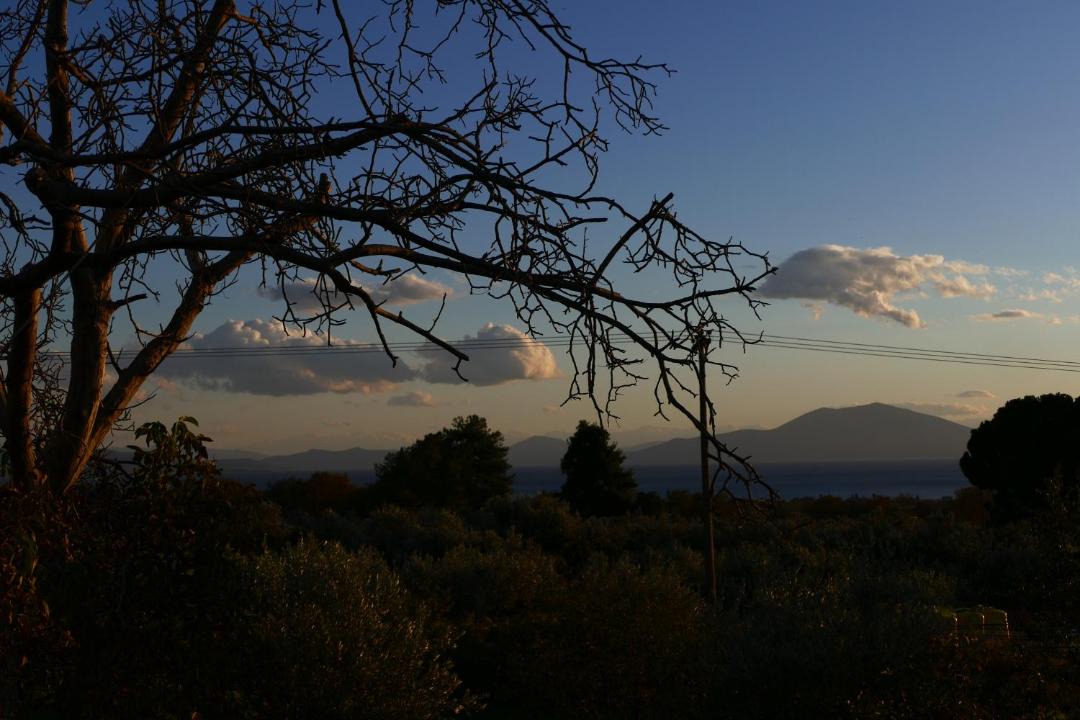 Photo of Others in Artemida