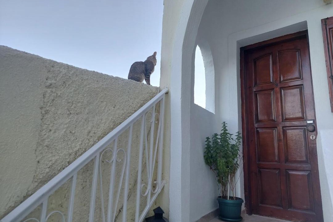 Photo of Others in Perissa