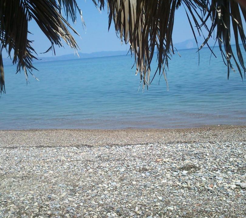 Photo of Others in Lokroi