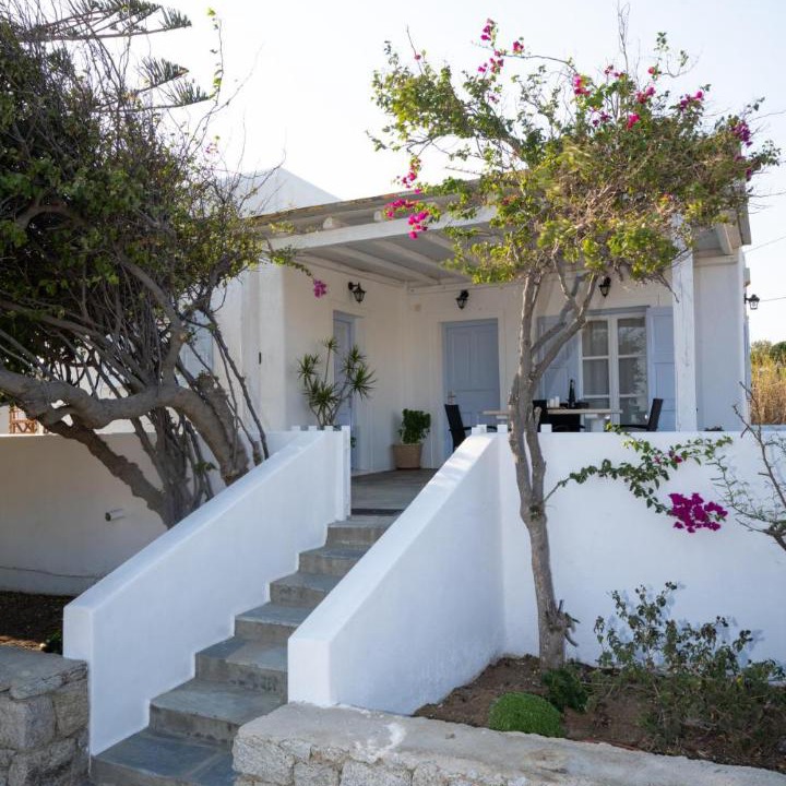 Photo of Others in Platis Gialos