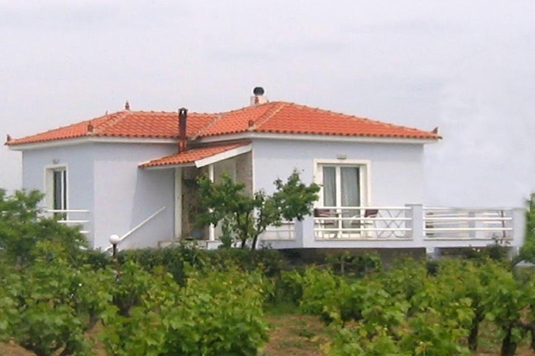 Photo of Others in Skala Kallonis