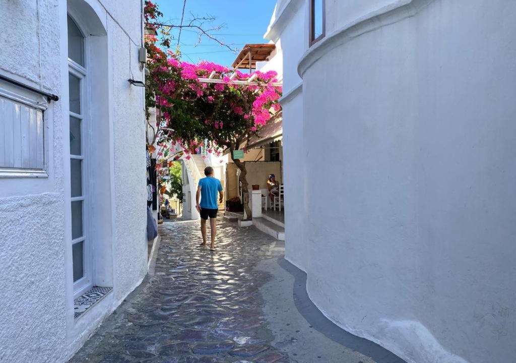 Photo of Others in Skyros Town
