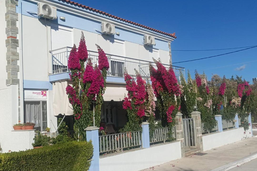 Photo of Others in Skala Kallonis