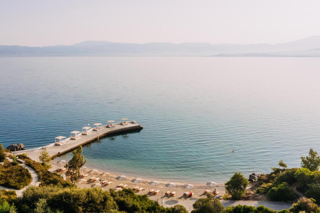 Photo of Others in Chalcis