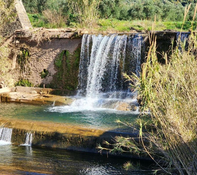 Photo of Others in Oichalia