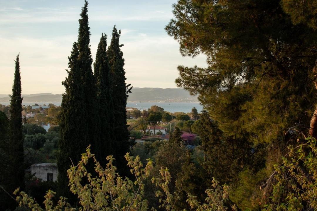 Photo of Others in Skala Oropou