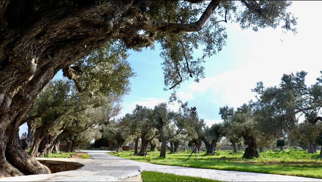 Photo of Others in Karystos