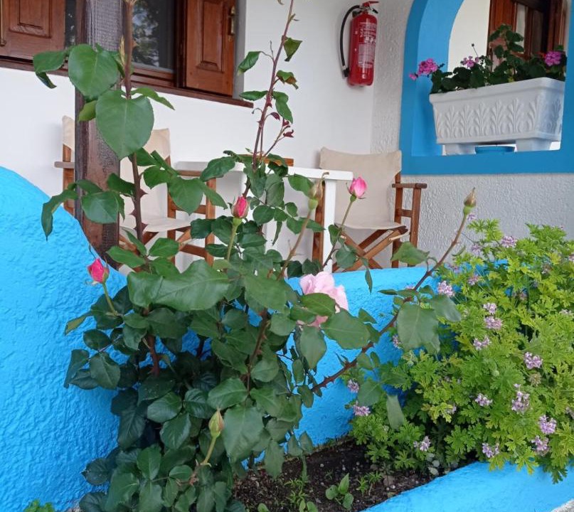 Photo of Others in Limnionas