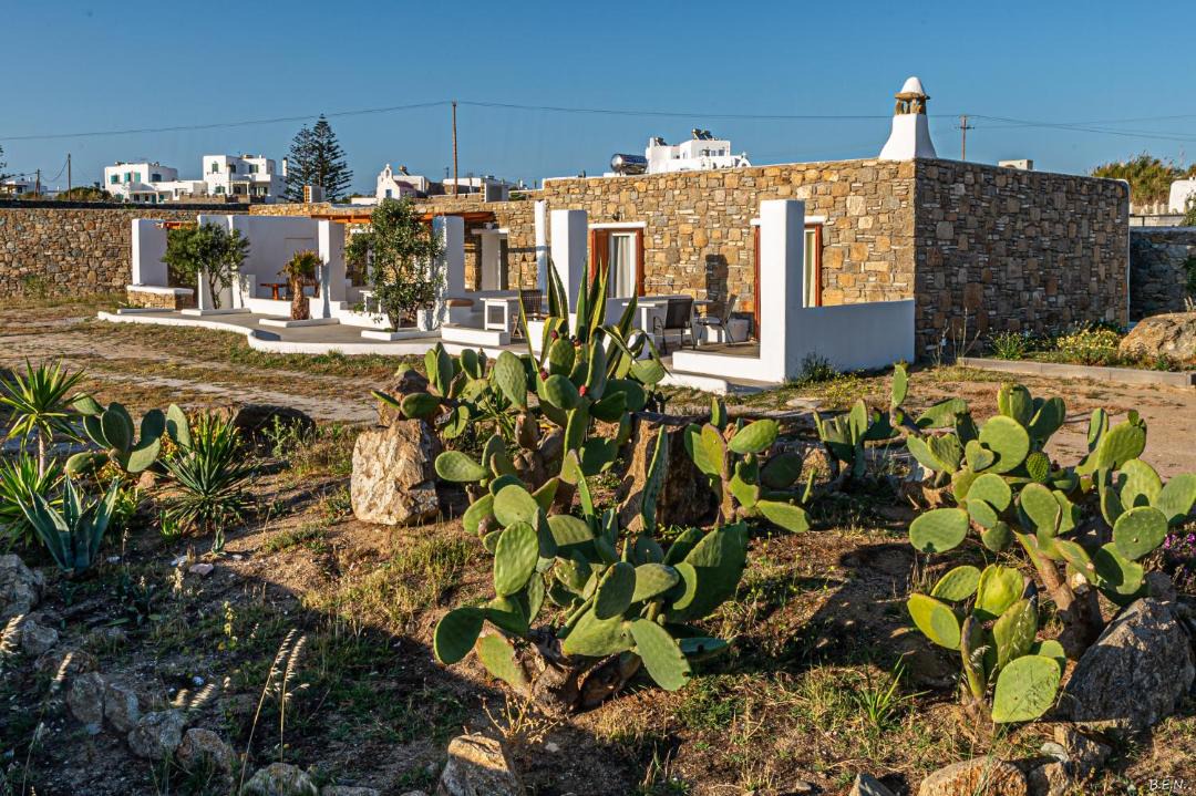 Photo of Others in Mykonos Town