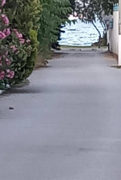 Photo of Others in Nea Makri