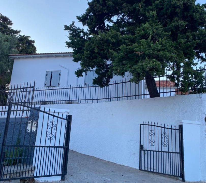Photo of Others in Skopelos Town