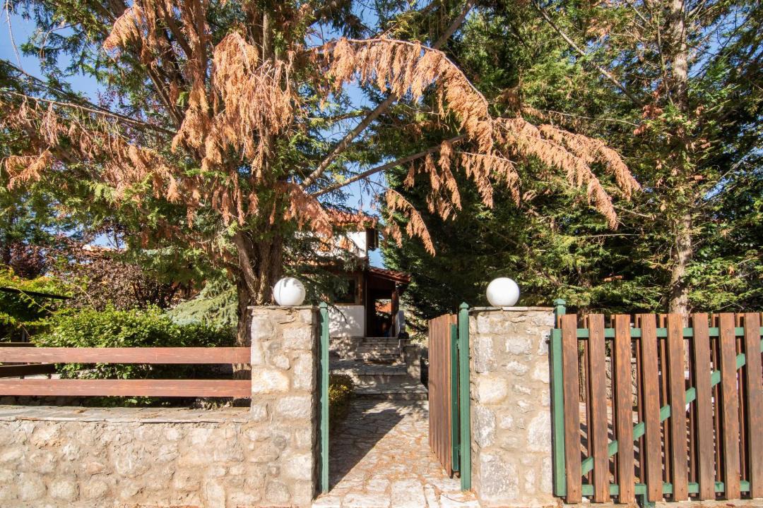 Photo of Others in Arachova