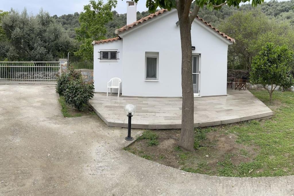 Photo of Buildings in Trygonas