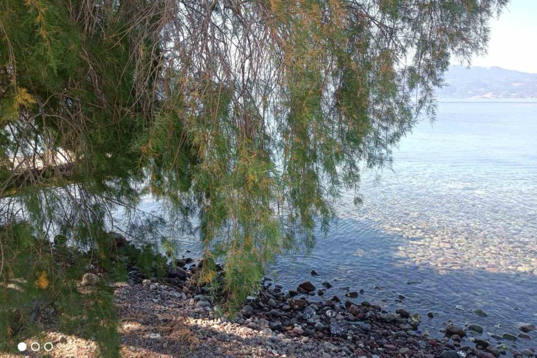 Photo of Others in Gefyra