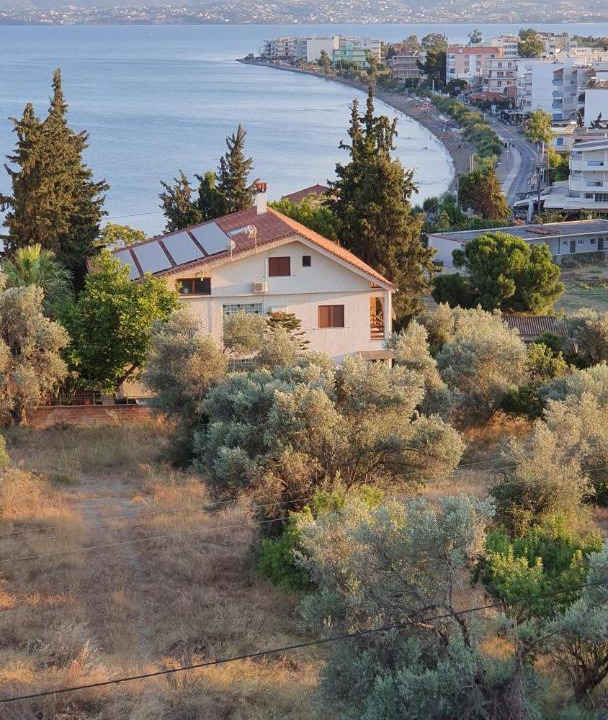 Photo of Outdoor in Lefkandi