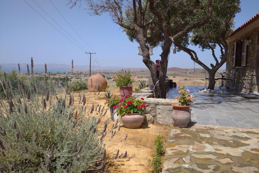 Photo of Others in Lemnos