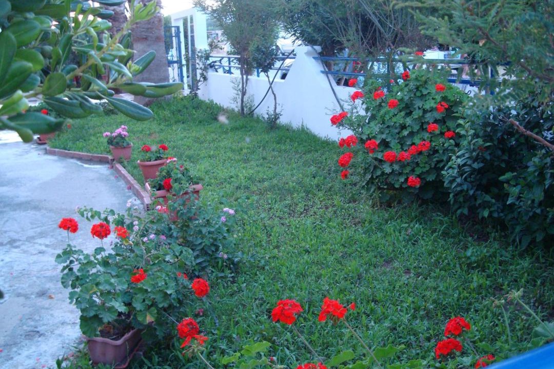 Photo of Others in Kardamena