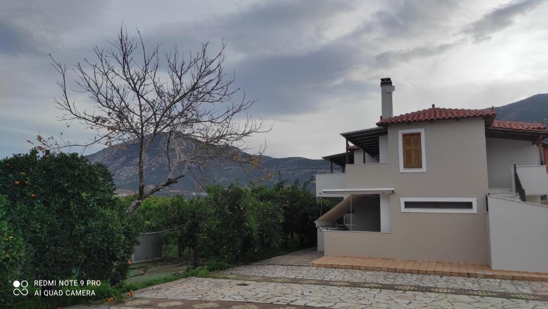 Photo of Buildings in Melissopetra