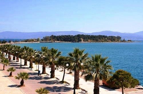 Photo of Others in Eretria