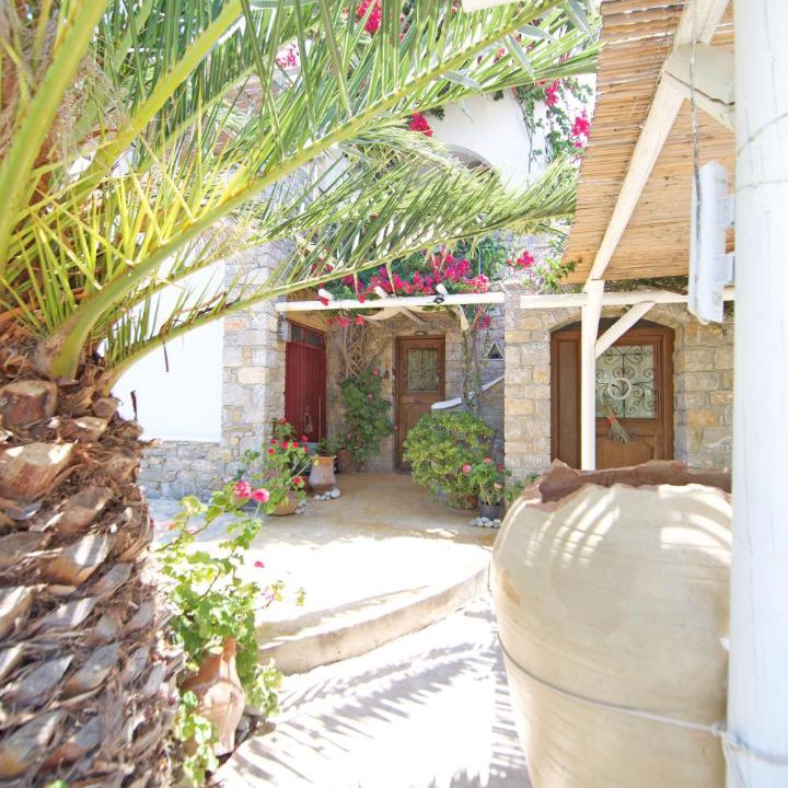 Photo of Others in Katapola