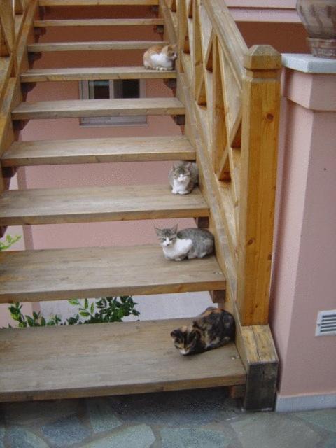 Photo of Others in Veria