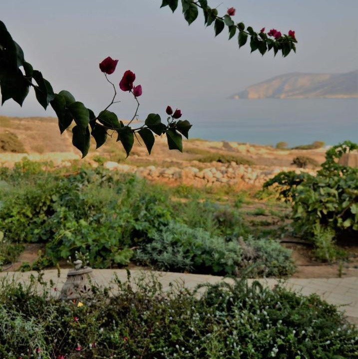 Photo of Others in Koufonisia