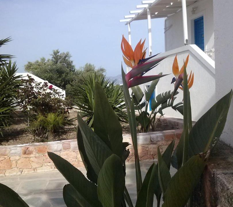 Photo of Others in Apollonia