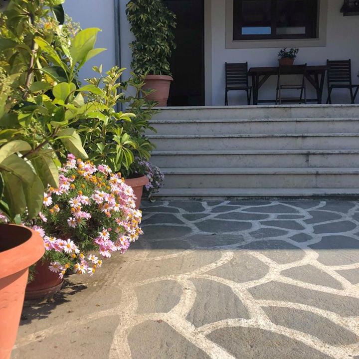 Photo of Others in Skiathos Town