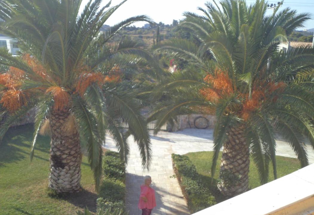 Photo of Others in Rafina-Pikermi