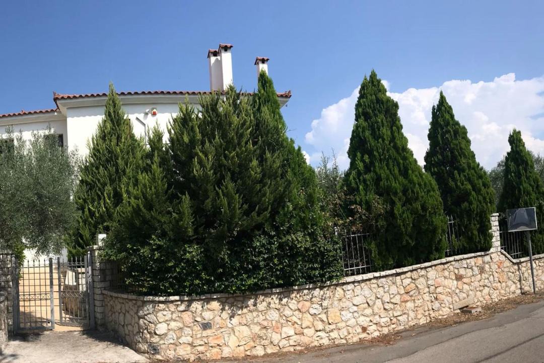 Photo of Others in Chalcis