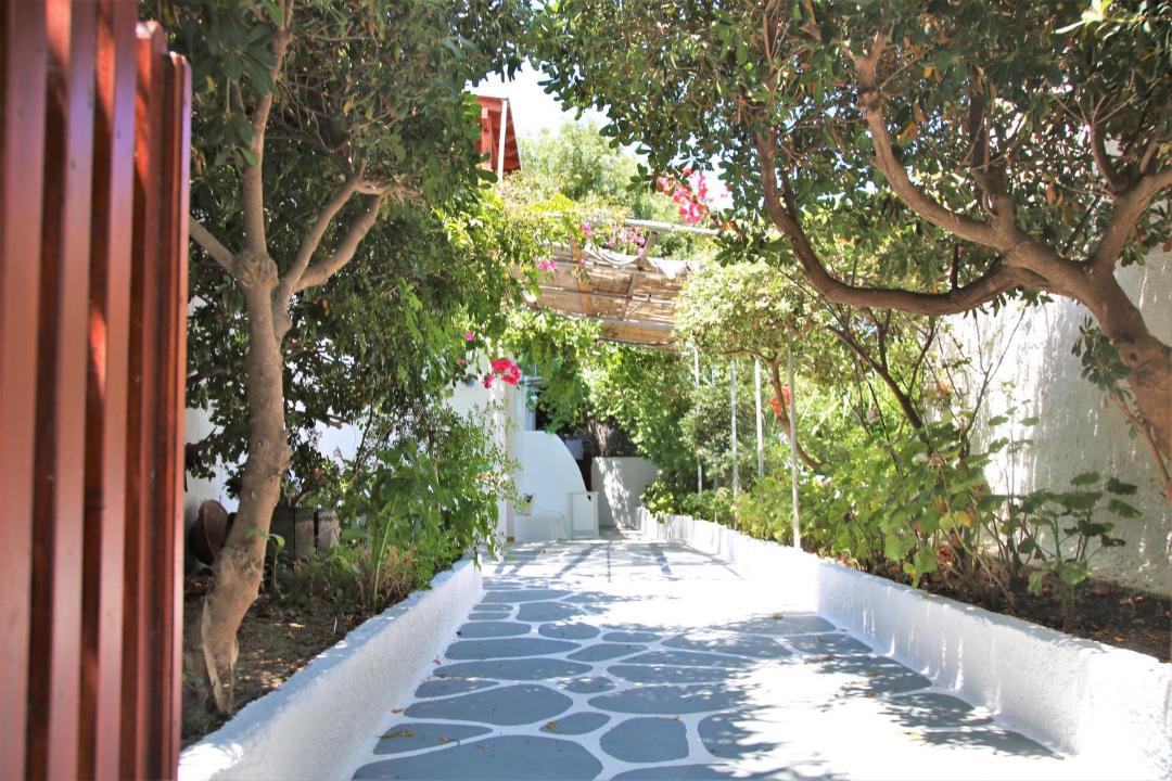 Photo of Others in Adamas