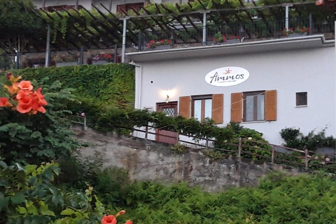 Photo of Others in Papa Nero