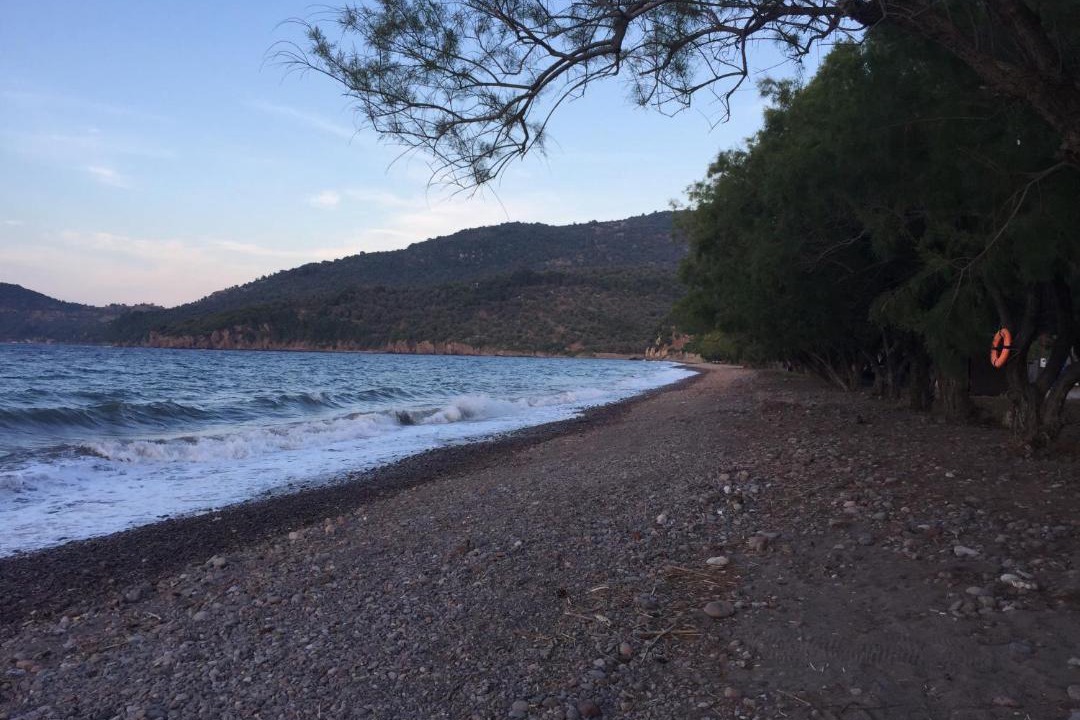 Photo of Others in Skala Sykamineas