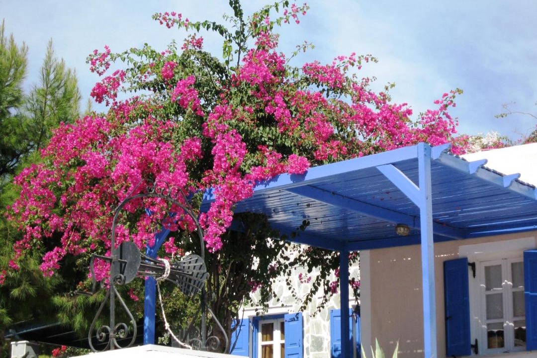 Photo of Others in Akrotiri