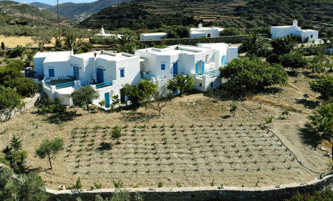 Photo of Others in Platis Gialos