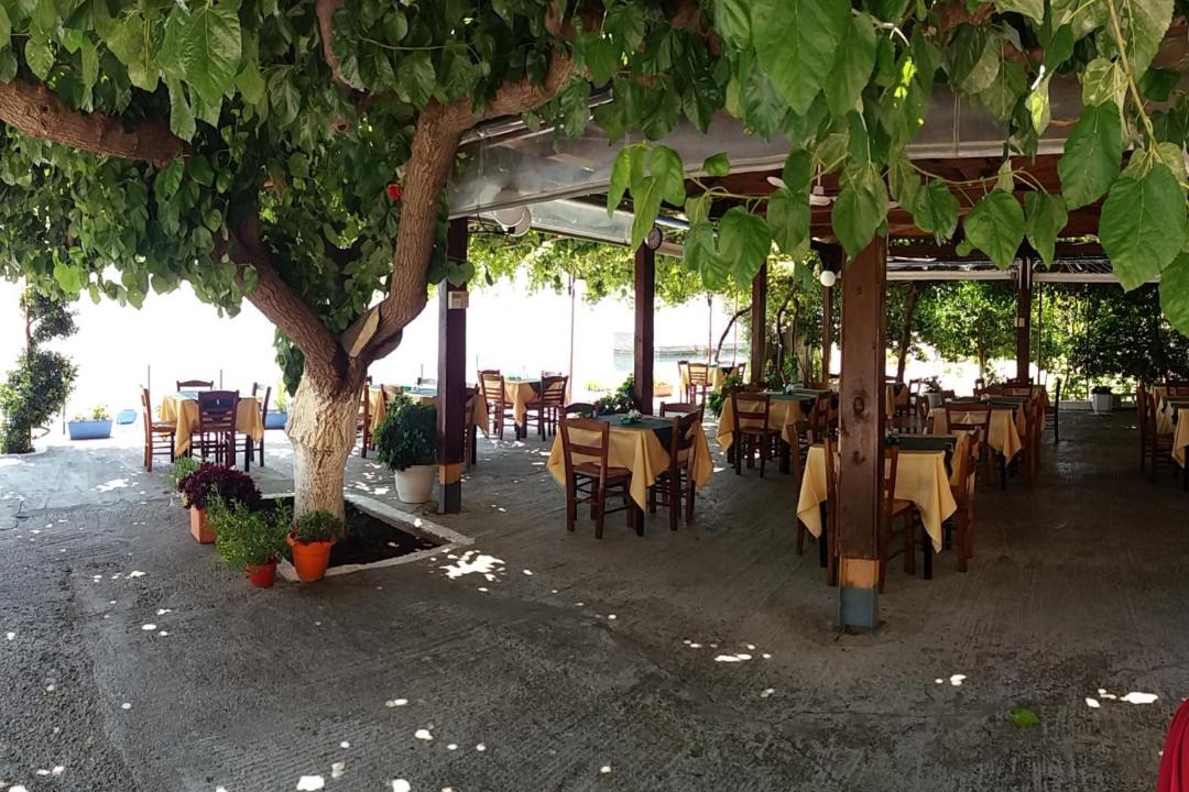 Photo of Others in Ilia