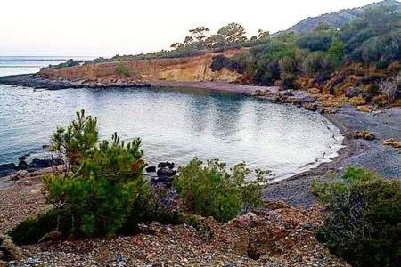 Photo of Others in Achlia