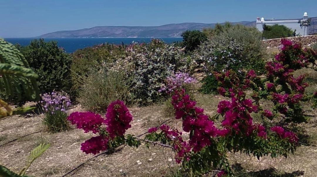 Photo of Others in Koufonisia