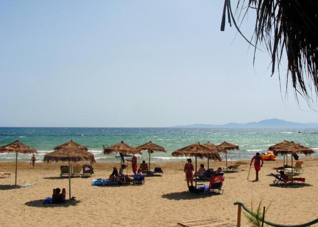 Photo of Others in Pineios