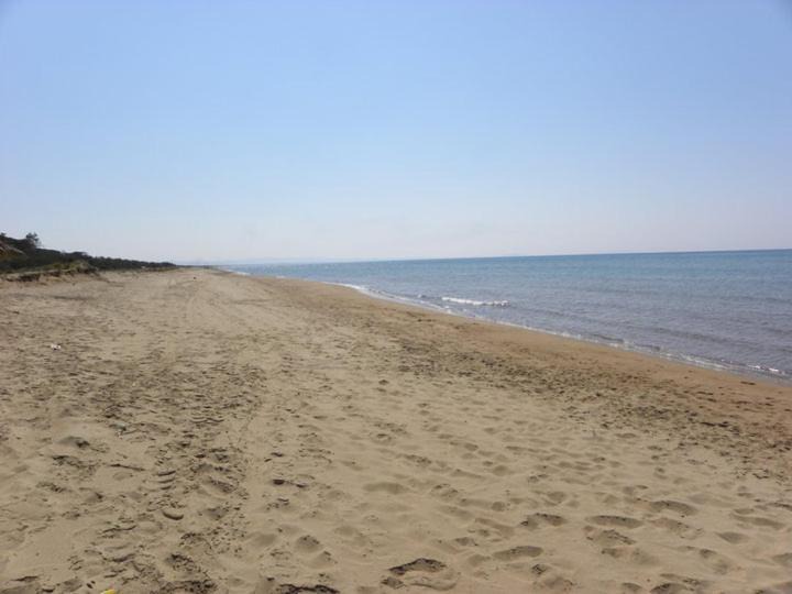 Photo of Others in Pineios