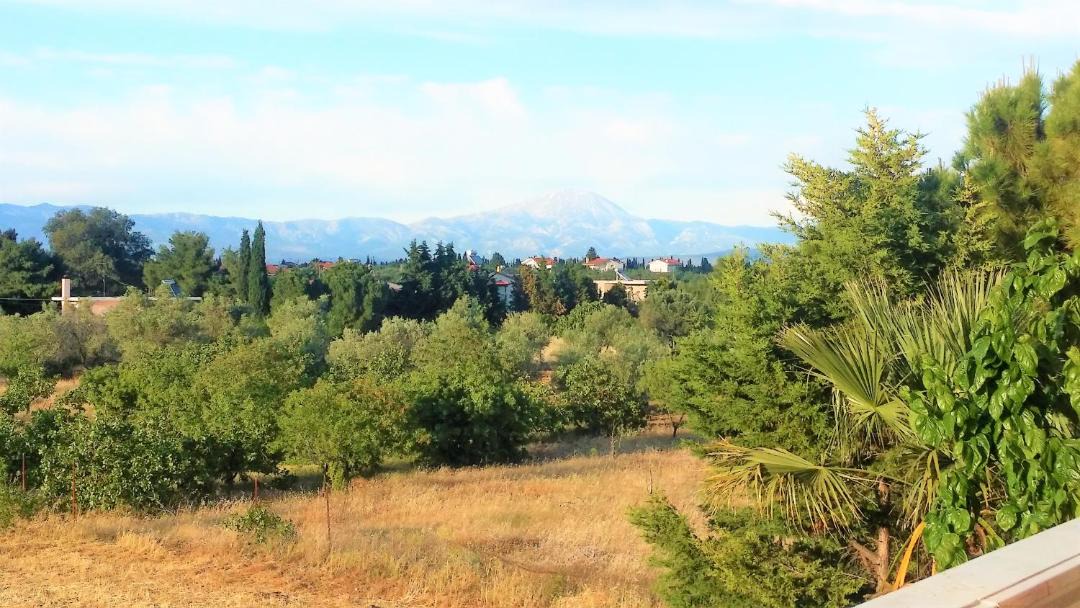 Photo of Others in Chalcis