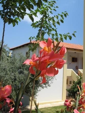 Photo of Others in Melissopetra