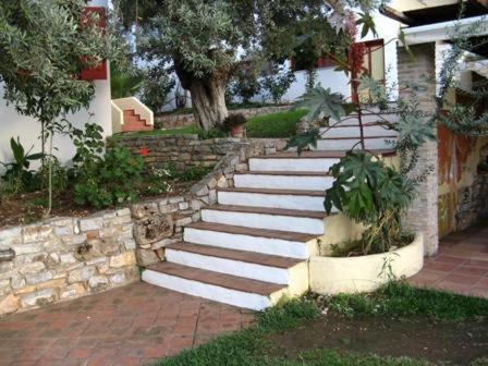 Photo of Others in Melissopetra