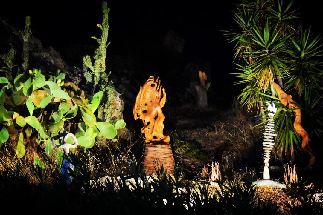 Photo of Others in Palaiochora