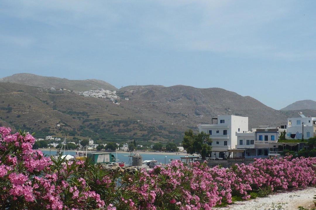 Photo of Others in Aegiali
