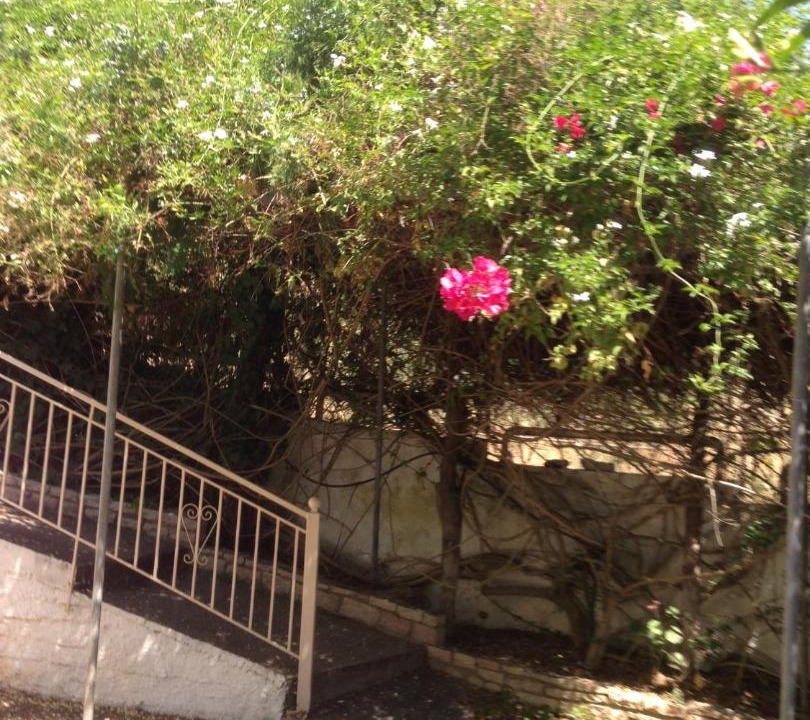 Photo of Others in Nea Koroni