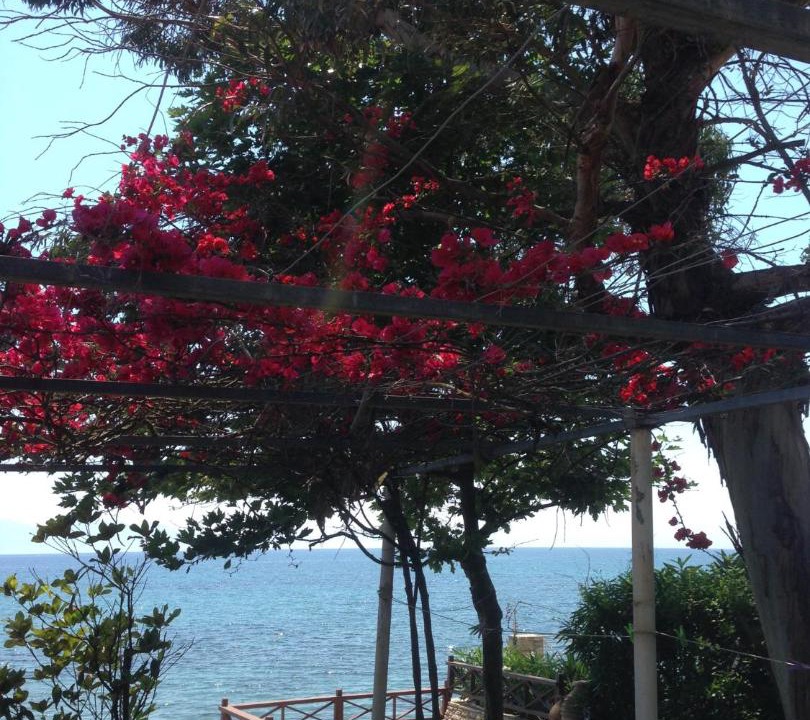 Photo of Others in Nea Koroni