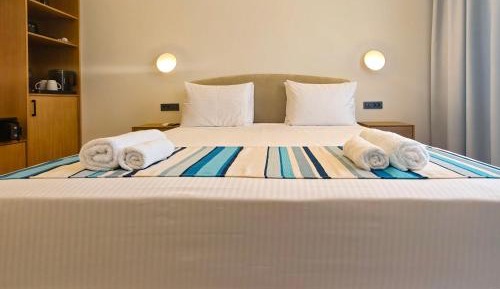 Double or Twin Room with Mountain View