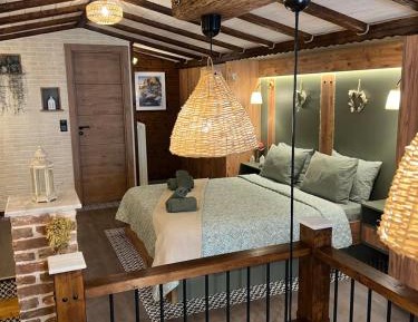 Deluxe One-Bedroom Apartment